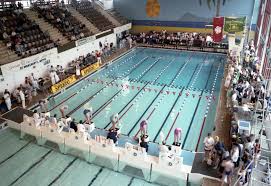 Image result for City Of Leicester Swimming Club
