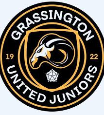Image result for Castle Donington Juniors F C