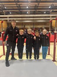 Image result for Weaverham Gymnastics Club