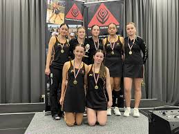 Image result for Sas Netball Club