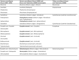 Attēlu rezultāti vaicājumam “Erysiphe galeopsidis”
