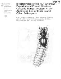 Attēlu rezultāti vaicājumam “Trioza dispar nymph”
