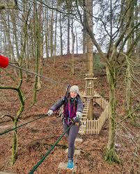 Image result for Go Ape! Grizedale