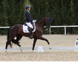 Bildergebnis für "Sebastian Kempa"