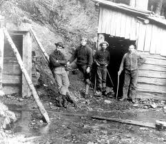 Image result for St Helens Miners