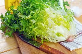 Image result for Endivie