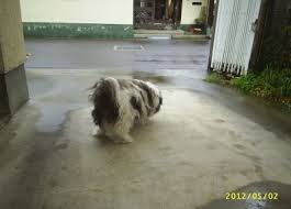 Image result for 201205.html#201205031