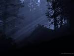 Darkness Wallpapers and Pictures | 133 Items | Page 1 of 6