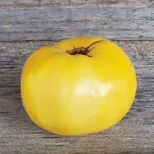 Afbeeldingsresultaat voor blushing yellow tomato
