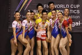 Image result for Bulmershe Gymnastics Club