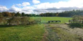 Image result for Harrogate Rugby Football Club