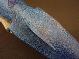 Image result for seaquest stinger