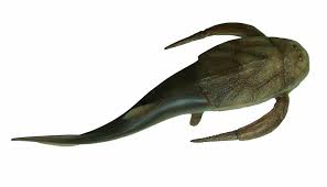 Attēlu rezultāti vaicājumam “Placodermi”