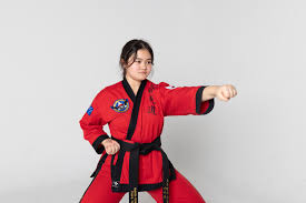Image result for INTERNATIONAL HAPKIDO TAMWORTH