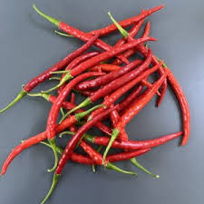 Afbeeldingsresultaat voor biker billy jalapeno hot pepper