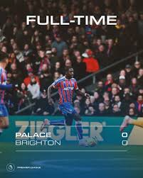 Image result for Palace Eagles Octopush Club