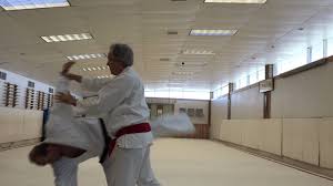 Image result for AikidoFlow