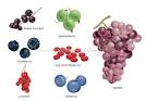 FOOD &amp; KITCHEN :: FOOD :: FRUITS :: BERRIES [1] image - Visual ...