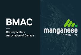 Image result for BMAC
