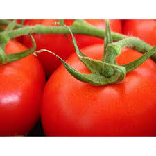 Afbeeldingsresultaat voor anna russian tomato