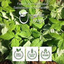 Attēlu rezultāti vaicājumam “Rubus idaeus leaf”