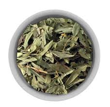 Attēlu rezultāti vaicājumam “Hippophae rhamnoides leaf”