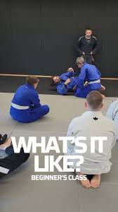 Image result for Winchester Aiuchi Jiu Jitsu