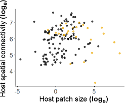 Attēlu rezultāti vaicājumam “Ochropsora ariae spores”