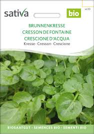 Image result for Brunnenkresse