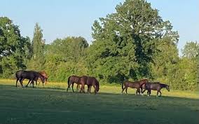 Image result for Coventry Rambling Club