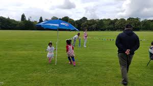 Image result for Bay Dragons CC