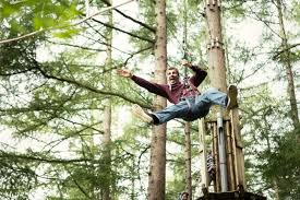 Image result for Go Ape! Whinlatter