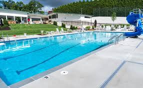 Image result for York University Pool Club