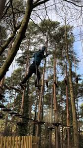 Image result for Go Ape! Alice Holt