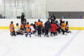 Image result for Telford Junior Ice Hockey Club