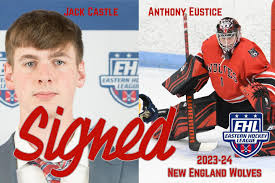 Image result for Streatham Night Wolves Ice Hockey Team