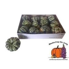 Attēlu rezultāti vaicājumam “Cucurbita pepo fruit”