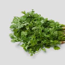 Image result for Koriander