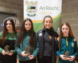 Image result for An Riocht Gaa Club