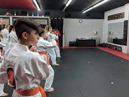 Image result for Bushido Academy Of Martial Arts (Bama)