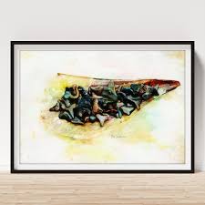 Image result for Chichester Sharks