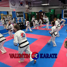 Image result for Valentin Karate