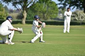 Image result for Nazeing Common Cricket Club