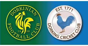 Image result for Old Dorkinian Cricket Club