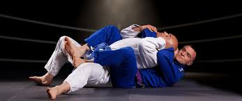 Image result for Brazilian-martial arts