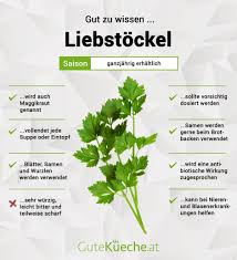 Image result for Liebstöckel