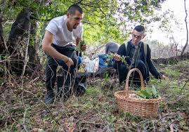 Image result for selvatici tehron