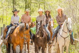 Image result for Palmers Riding Stables