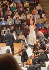 Image result for auditorio manuel de falla granada