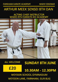 Image result for Haslemere Karate Club